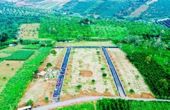 Cần bán gấp đất vườn có thổ cư chính chủ Gia Lập, Gia Viễn